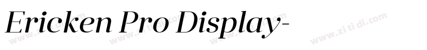 Ericken Pro Display字体转换
